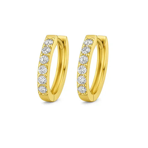 Moissanite Hoop Earrings.