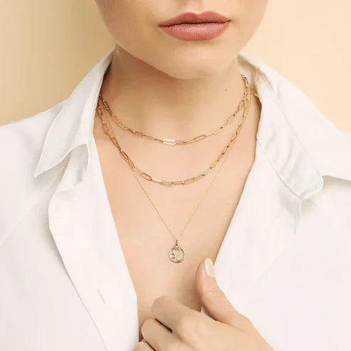 Zodiac Sign Pendant Necklace.