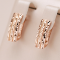 Elegant Golden Earrings