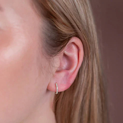 Moissanite Hoop Earrings.